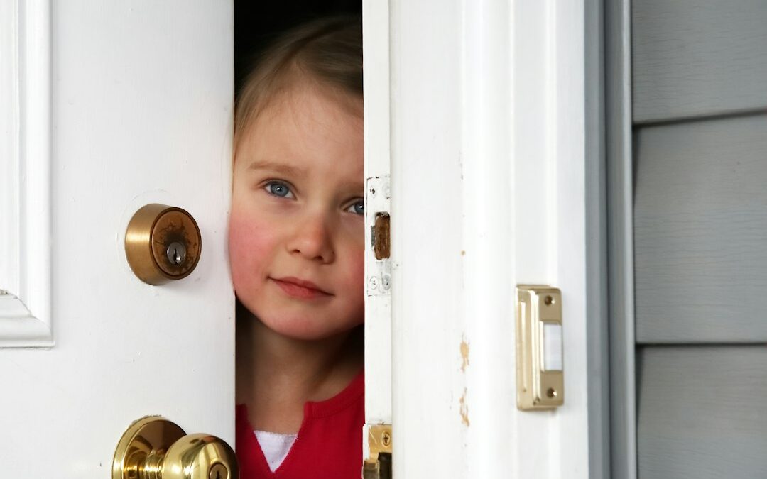 Sikkerhet i Hjemmet: En Nøkkel til Trygge Familier